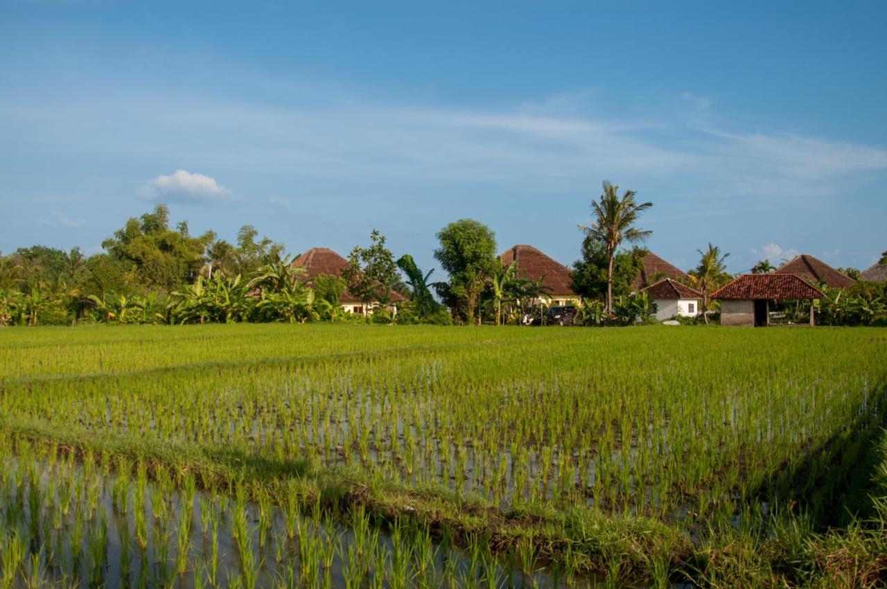 The North Cape Beach Villas Umeanyar Exterior photo